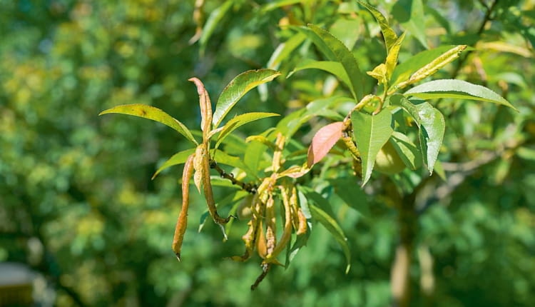 SONY DSC8BIM%WuX`z8BIM:=printOutputPstSboolInteenumInteClrmprintSixteenBitboolprinterNameTEXT(Dell 5330dn Mono Laser Printer (DAN001)printProofSetupObjcUstawienie prbyproofSetupBltnenumbuiltinProofproofCMYK8BIM;