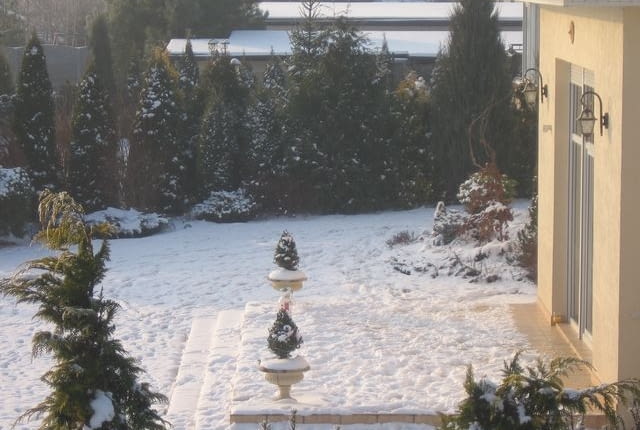 zima w ogrodzie, trawnik, śnieg