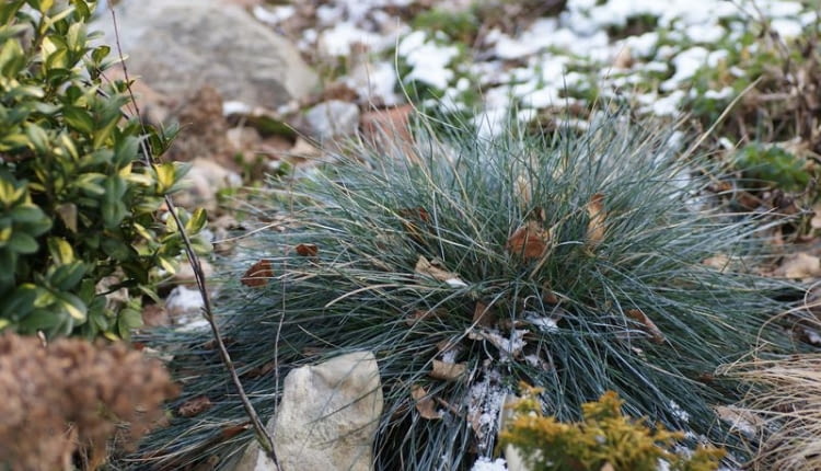 Do JEDNOKROTNEJ PUBLIKACJI