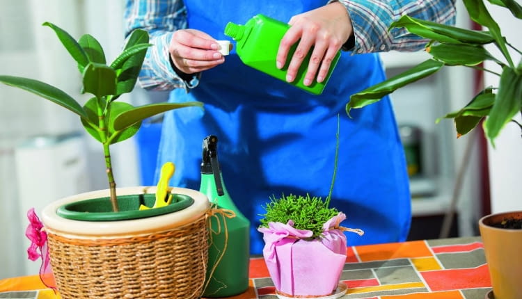 Dawkę nawozu zimowego odmierzamy zgodnie z instrukcją na etykiecie i mieszamy ją z wodą w odpowiedniej proporcji.