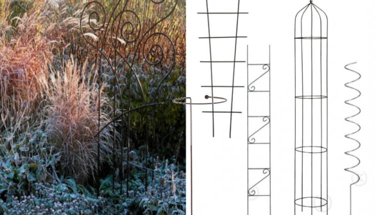 trawy ozdobne,Trawa pampesowa, Rozplenica japońska, Kostrzewa sina