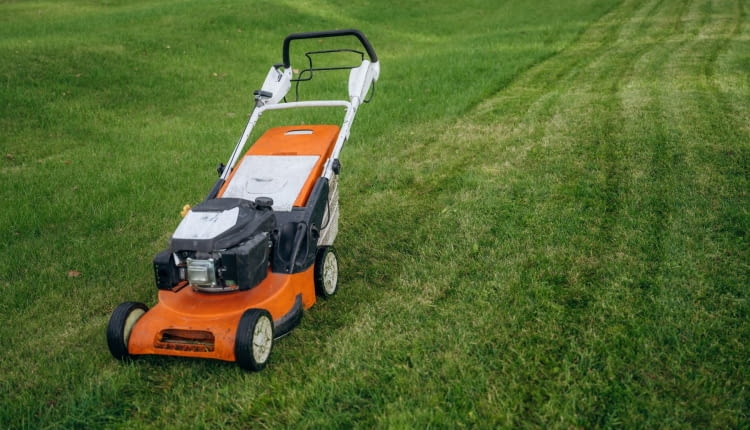 Jak wybrać idealną kosiarkę spalinową do swojego ogrodu?