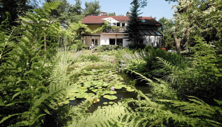 06.07.2012 Konstancin Jeziorna , ogrod dla miesiecznika " Magnolia " , wydawca AGORA S.A, wlascicielka ogrodu Joanna Sekowska ( Sękowska ) , Fot Wojciech Surdziel / wosu.pl SLOWA KLUCZOWE: OGROD OGRODY MAGNOLIA