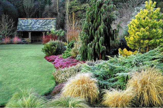 Frosted lawn and borders SLOWA KLUCZOWE: Ausblick Aussicht Baum Beet Beete Bepflanzung B ume Erica Erika Form Garten Geb ude Gr ser Heide Heidekraut Konifere Koniferen Nadelbaum Pflanzen Rasen Raureif Struktur Str ucher Winter anpflanzen architektonisch bepflanzen bereift bezogen einpflanzen eisig frostig immergr´n wei? Querformat