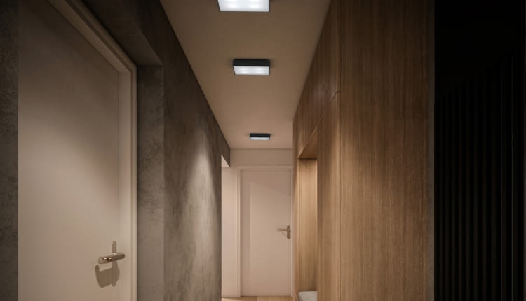 Problem z przedpokojem