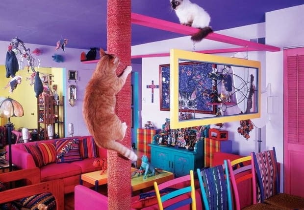 Fotograf Bob Walker zamienił swój przytulny domek w kocią bawialnię, budując w sumie ponad 40 metrów specjalnych pomostów oraz mysich dziurek, drapaków i tuneli.