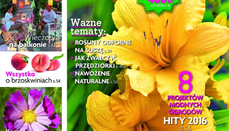 t Tx.n9Mb[[_eWO~,zoG/6}|9IW:2~wt_Qax!wn"}?9ZM_W+-wB5nAh?k?[zzgQ+WL=G$em+oc=~MH">lc+6R,+{E69gWeE/&gU{_