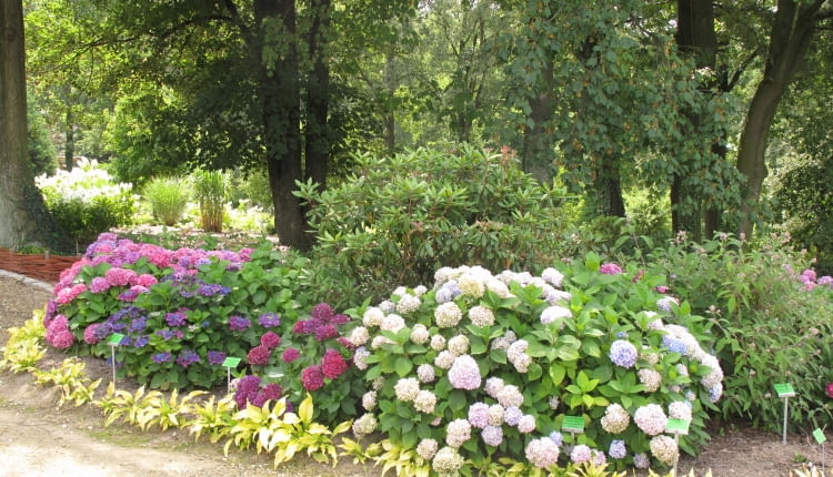 Do jednorazowej publikacji