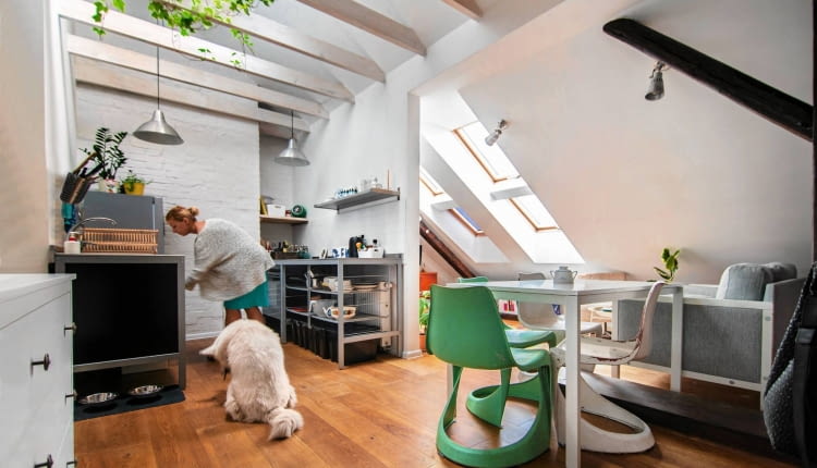 Mieszkanie na strychu