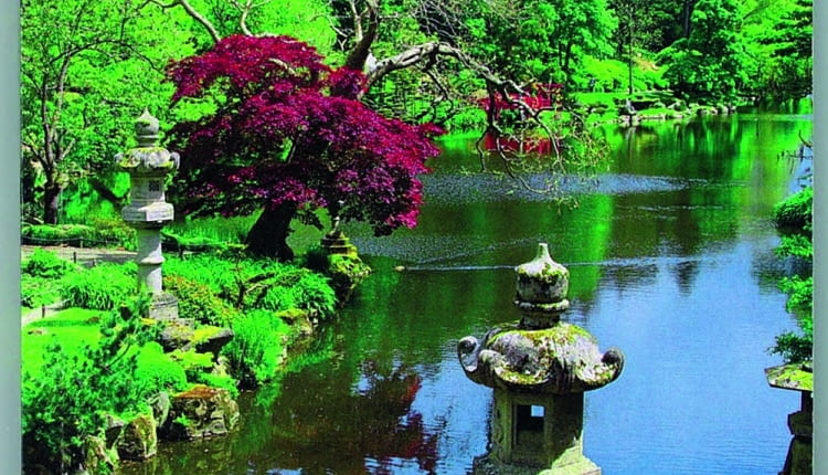 Książka "Ogrodnicy" Małgorzaty Szafrańskiej