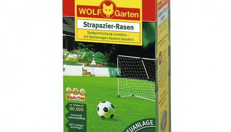Mieszanka traw na murawy sportowe