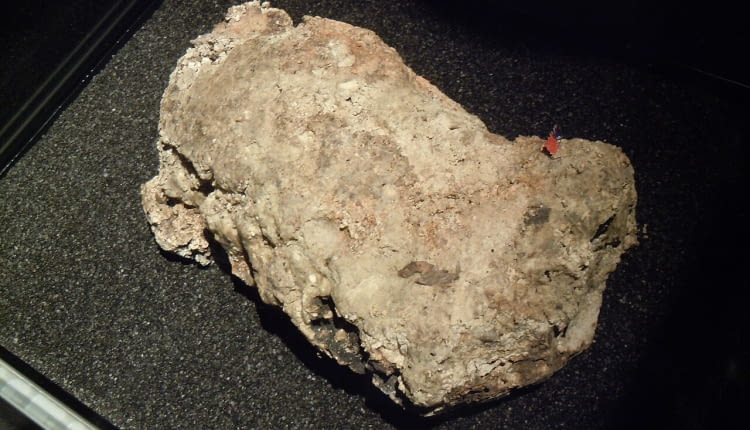Wyschnięta część fatbergu Whitechapel na wystawie w Muzeum Londyńskim
