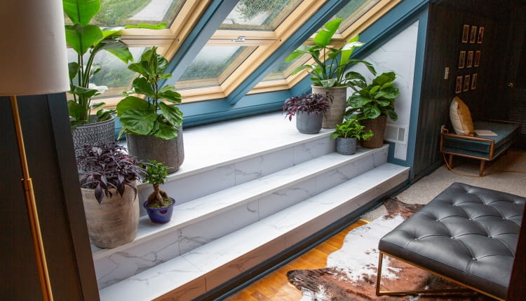 kwiatów w pomieszczeniach, w których spędzamy czas, nie tylko upiększa przestrzeń, ale także poprawia samopoczucie i jakość powietrza.