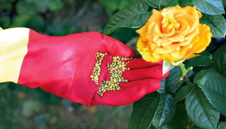 KONICA MINOLTA DIGITAL CAMERA8BIM%t^#J8BIM:3printOutputPstSboolInteenumInteClrmprintSixteenBitboolprinterNameTEXT(Dell 5330dn Mono Laser Printer (DAN001)printProofSetupObjcProof SetupproofSetupBltnenumbuiltinProofproofCMYK8BIM;