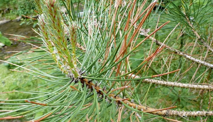 Ac^>>Co`7(vC0iF?!8|CgW6WRji(apWmoU cv6/2=0=]&RB5du}<yy+sjuZEi:c]~bQ79Jfcr71nt\7;W_Yv