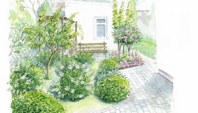 projekt z drzewami owocowymi