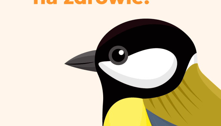 Ponad połowa Polaków dokarmia ptaki. Kampania “Dokarmiamy. Na zdrowie!” edukuje, jak robić to właściwie