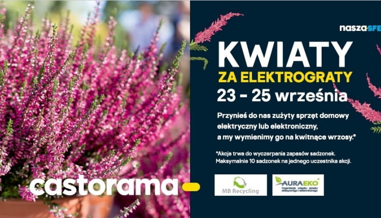 Kwiaty za elektrograty
