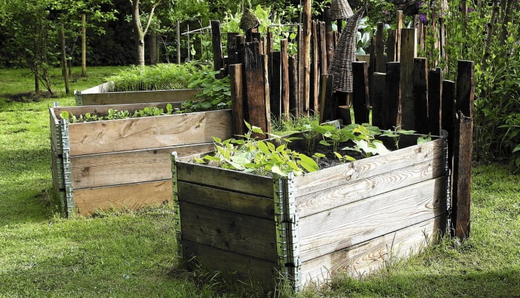 Hochbeete fŁr GemŁse aus alten Transportkisten SLOWA KLUCZOWE: Beet biologisch Bretter FŁllhorn Garten gšrtnern GemŁse GemŁsebeete Helga Noack Hochbeet Insekten Insektenhotel Kasten Kisten Korb KUrbe Ohrenkneifer OhrenwŁrmer pflanzen Pflanzenschutz Querformat