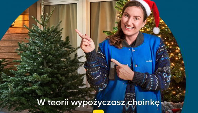Świąteczna wypożyczalnia choinek w sklepach Castorama