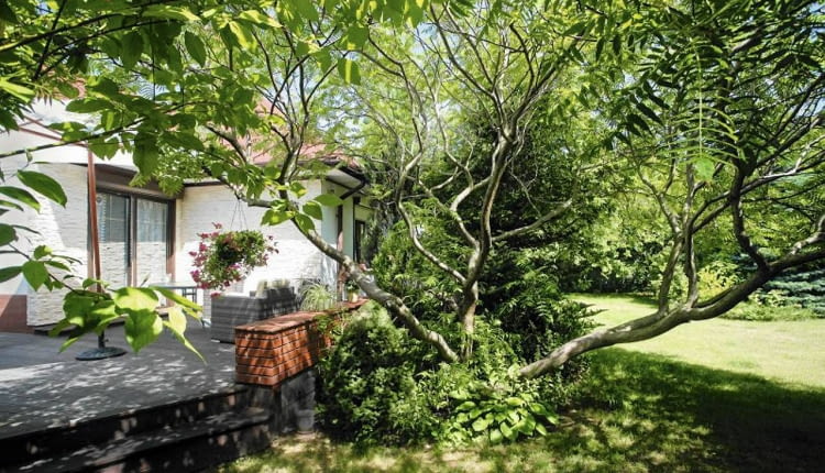 30.06.2012 Sekocin Nowy , ogrod dla miesiecznika " Magnolia - Ogrody " wlasciciele Marzena i Tadeusz Wrona Fot Wojciech Surdziel / wosu.pl SLOWA KLUCZOWE: OGROD DZIALKA MAGNOLIA OGRODY