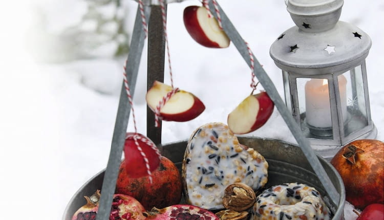 Vogelfutter - Tablett mit Fr´chten und Futter aus Backf^rmchen, Stepps: 218940, 218943, 218944, 218945 SLOWA KLUCZOWE: Balkon Futter f´ttern Garten Garten im Winter Idee Kreativ Kreatives Kreativ-Idee Schnee Tablett Vogel Vogelfutter Winter Winterbalkon winterlich