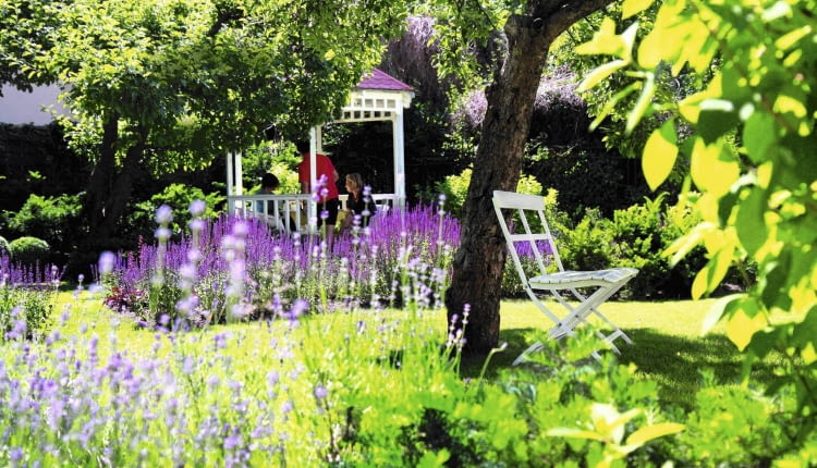 UWAGA ! PUBLIKACJA WYLACZNIE PO UZYSKANIU ZGODY REDAKCJI MAGNOLII 28.06.2011 SOPOT , OGROD PANSTWA IWONY I JERZEGO MALMUROW . NZ ALTANKA OGROD DLA MIESIECZNIKA " OGRODY ". FOT. WOJCIECH SURDZIEL / AGENCJA GAZETA PUBLIKACJA MAGNOLIA NR 8 (4) - 8 2012 SLOWA KLUCZOWE: OGROD ARCHITEKTURA PRZYRODA ROSLINA ZDJĘCIE DO WKŁADKI: PUBLIKACJA MAGNOLIA NR 8 (4) - CZASOPISMA