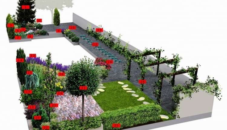 Projekt ogrodu w cieniu topoli