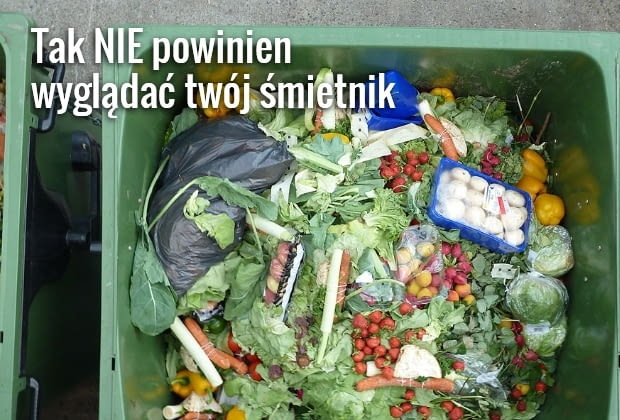 śmietnik