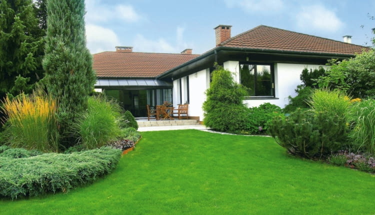 ONE TIME USE ONLY DO JEDNOKROTNEJ PUBLIKACJI DOM I OGROD PRYWATNY PANSTWA TARLOWSKICH , NZ RABATY Z OZDOBNYMI TRAWAMI FOT. LESZEK JAMPOLSKI PUBLIKACJA LADNY DOM NUMER SPECJALNY - LADNY OGROD 1/2008 - 4 2008