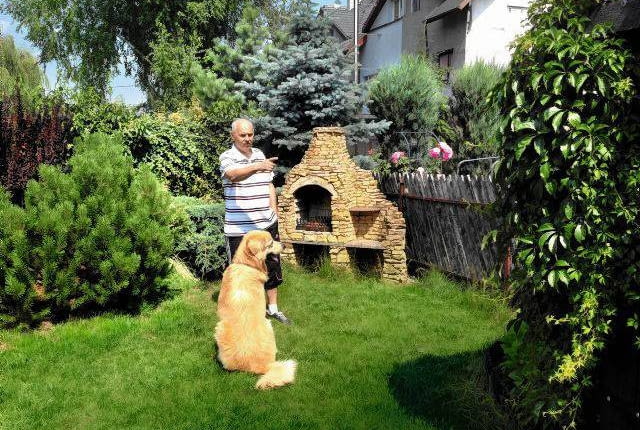 Pan Tomasz w swoim ogrodzie z Howardem - ośmioletnim psem rasy Hovawart.