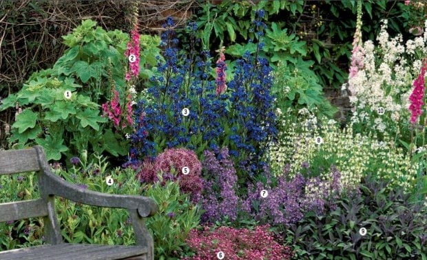 Letnia rabata w odcieniach fioletu