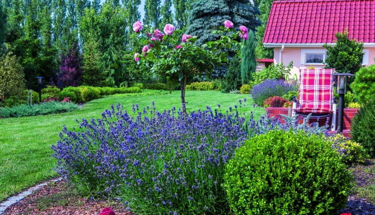Lawendy i róże posadzono bliżej tarasu, a w bogatą otulinę ogrodowego wnętrza wpisano kolorowe liściaste krzewy.