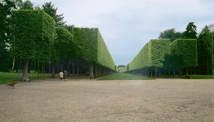 FRANCJA OGROD BAROKOWY FORMOWANIE STRZYZENIE CIECIE TOPIAR TOPIARY FORMA TOPIARYCZNA BOSKIET OS WIDOKOWAFOT. ANDRZEJ PIENKOSSLAJD MALYPUBLIKACJA OGRODY NR 2 (58) - 2.2004