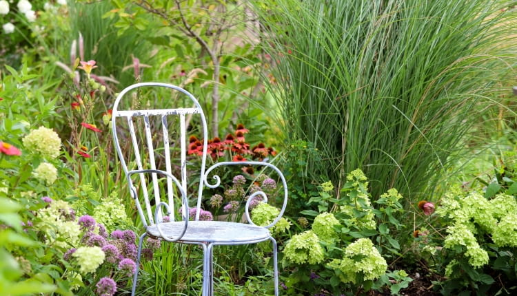 Trawy ozdobne w donicy