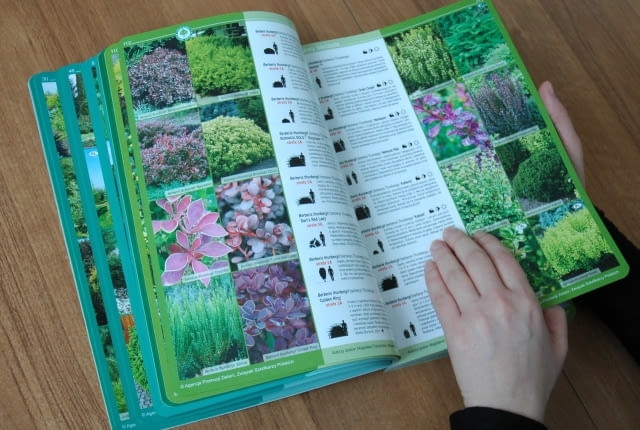 Katalog roślin