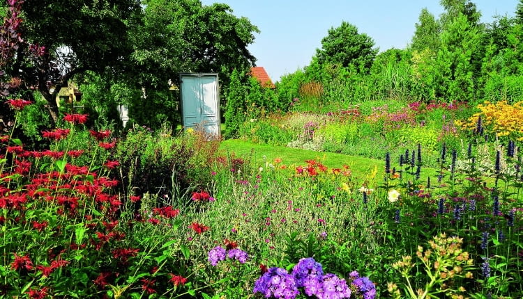 Imponujące bylinowe rabaty w słonecznym "pokoju", środkiem wiedzie trawiasta ścieżka.