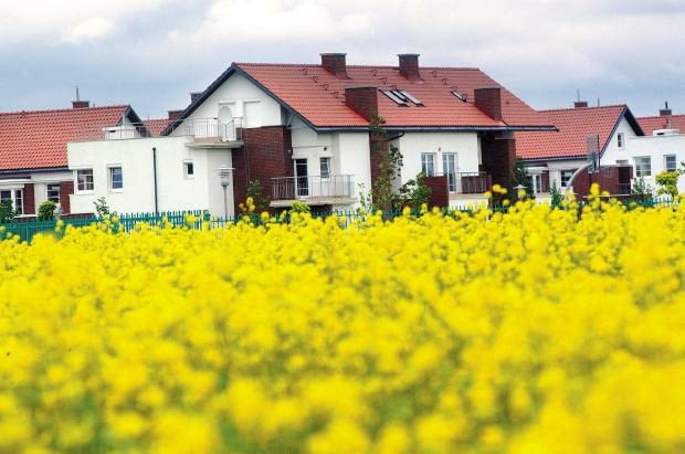 wybór projektu