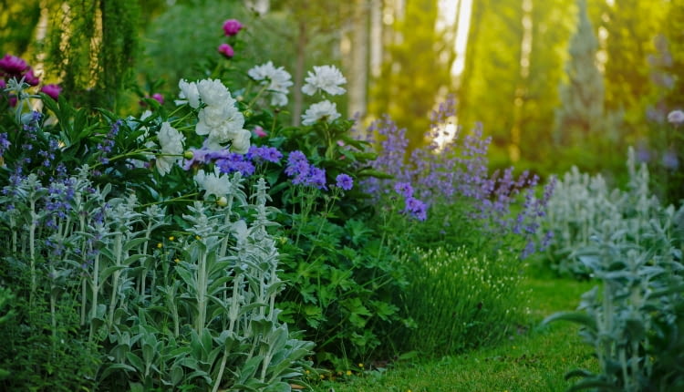 Trendy ogrodnicze w 2025 r