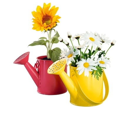 Doniczki - konewki. W zestawie są 2 blaszane konewki (wysokość każdej 14 cm), torf i nasiona margerytek oraz słoneczników. To oryginalny pomysł na prezent dla dużych i małych: pierwsze roślinki wschodzą już po kilku dniach! Cena zestawu 14,99 zł