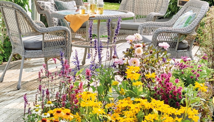 Kwitnące rośliny letnie