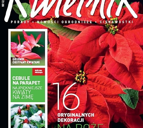 Okładka miesięcznika Kwietnik nr 12/2011