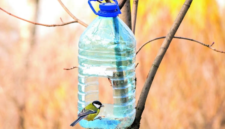 Karmnik z dużej butelki można wykonać także jak na zdjęciu. Otwór w ściance powinien umożliwiać ptakom swobodny dostęp do ziarna.