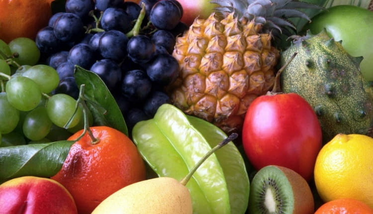 jagody goji, cytrynowiec chiński, borówka amerykańska, owoce, ogród