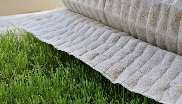 Biodegradowalna trawa z rolki