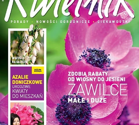 Okładka miesięcznika Kwietnik 03/2012