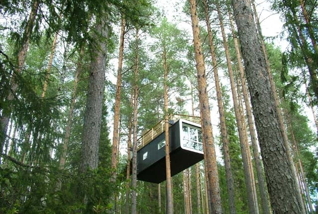 TreeHotel