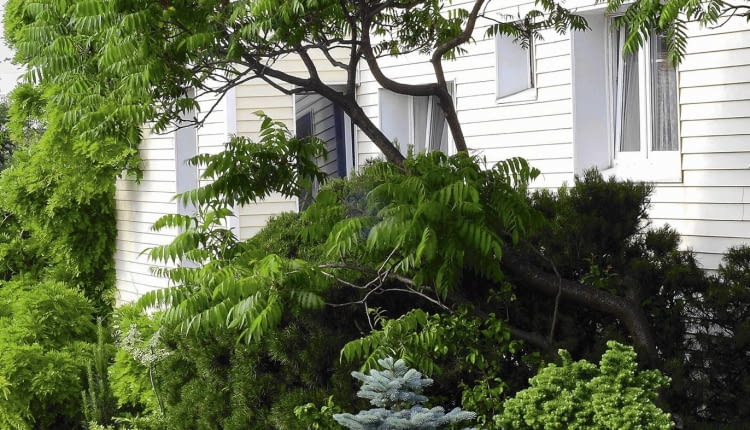 PONOWNA PUBLIKACJA PO UZGODNIENIU Z REDAKCJA !!! DOM I OGROD PRYWATNY PANSTWA GOLASZEWSKICH NZ STRUMYK , POTOK FOT. LILIANNA SOKOLOWSKA PUBLIKACJA OGRODY NR 6 (122) - 6 2009 SLOWA KLUCZOWE: OGRODY WODA XNO ZDJĘCIE DO WKŁADKI: PUBLIKACJA OGRODY NR 6 (122) - CZASOPISMA