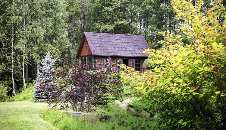 [ HRY DLA OGRODOW ] SLOWA KLUCZOWE: orzechowka