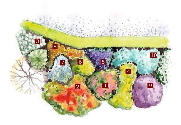 Letnia rabata - projekt